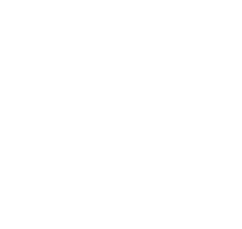 Logo IPES